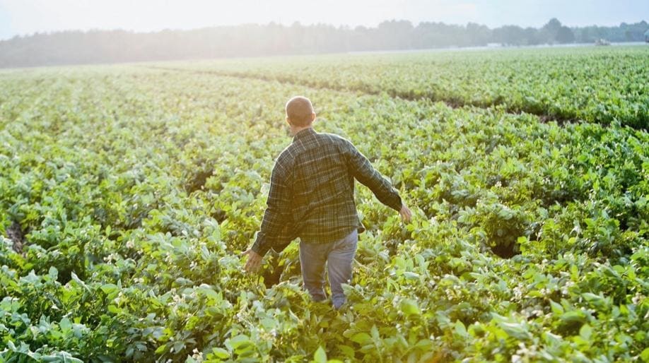 Raw Material & Ingredient Sourcing