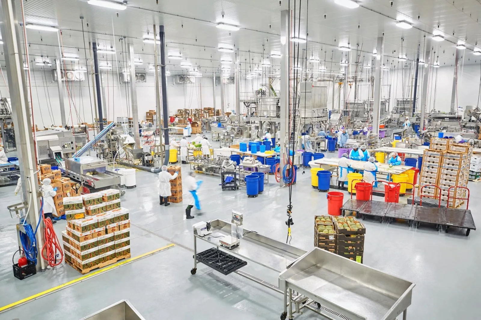 Overhead view of a working food manufacturing facility in the UAE