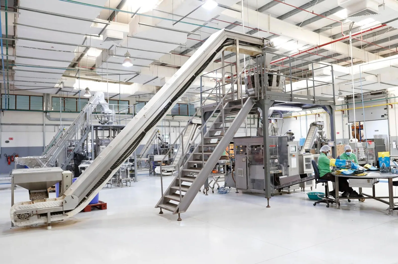 Food processing and packaging line inside a manufacturing facility